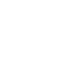 IEW